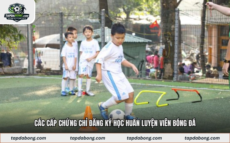 Các cấp chứng chỉ đăng ký học huấn luyện viên bóng đá