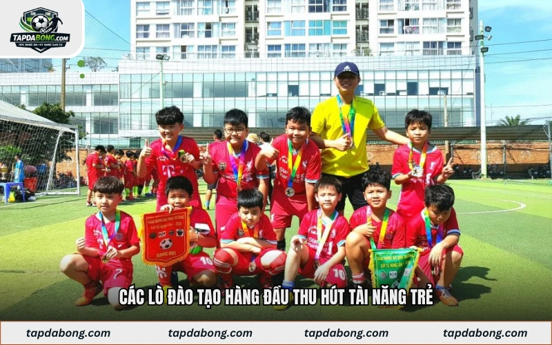 Các lò đào tạo hàng đầu thu hút tài năng trẻ