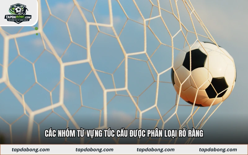 Các nhóm từ vựng túc cầu được phân loại rõ ràng