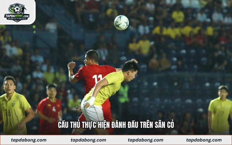 Cầu thủ thực hiện đánh đầu trên sân cỏ