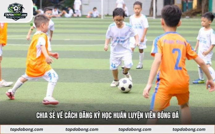 Chia Sẻ Về Cách Đăng Ký Học Huấn Luyện Viên Bóng Đá