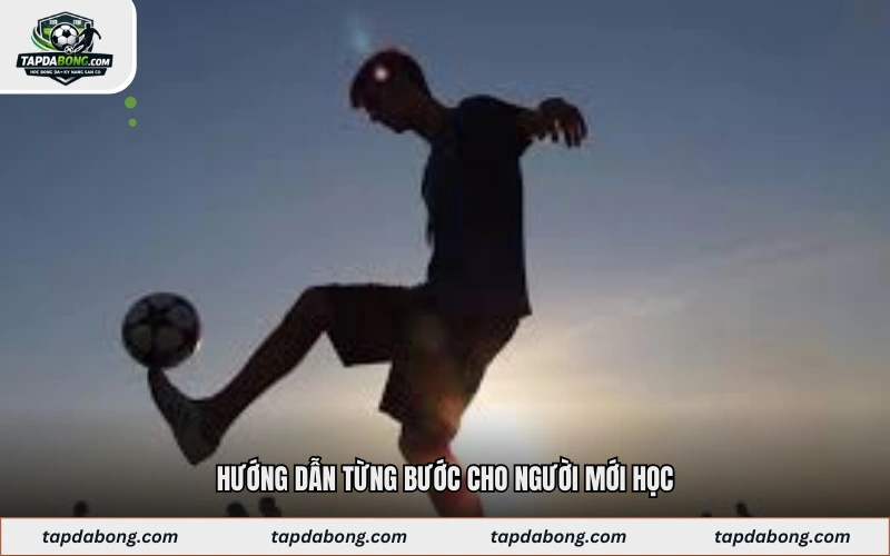 Hướng dẫn từng bước cho người mới học