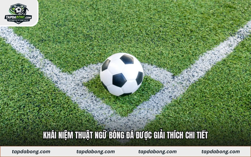 Khái niệm thuật ngữ bóng đá được giải thích chi tiết