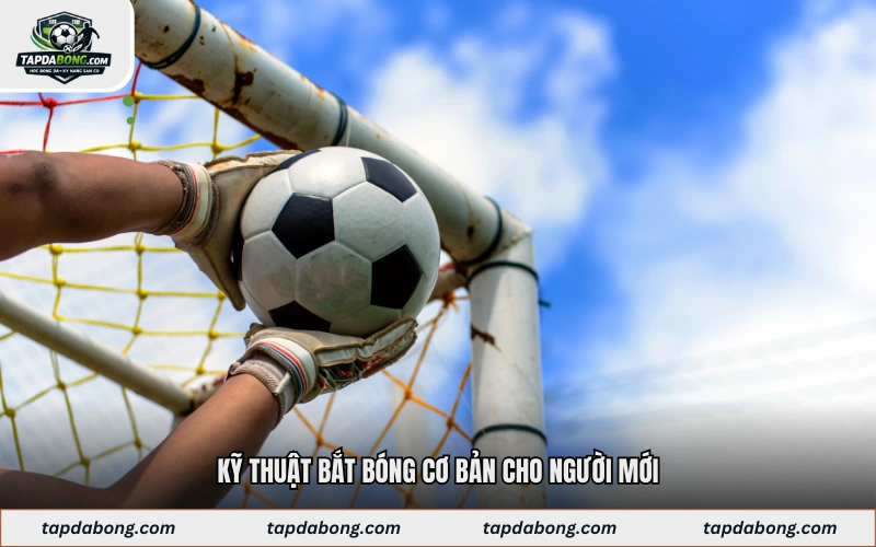 Kỹ thuật bắt bóng cơ bản cho người mới
