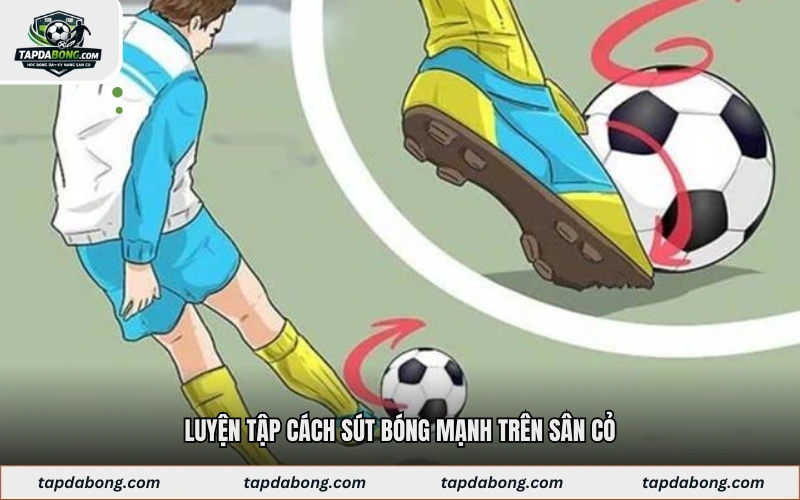 Luyện tập cách sút bóng mạnh trên sân cỏ