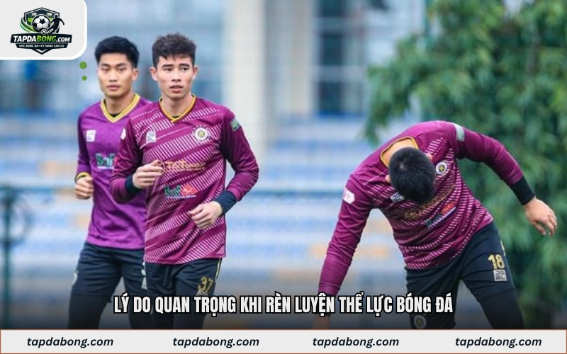 Lý do quan trọng khi rèn luyện thể lực bóng đá