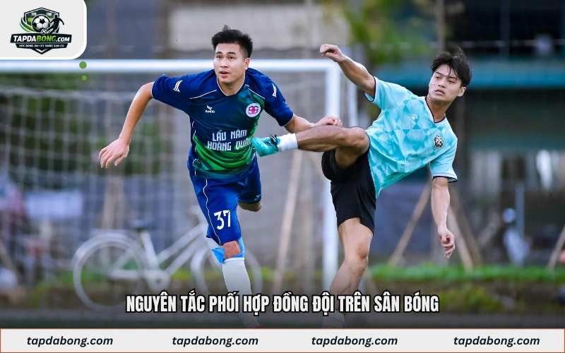 Nguyên tắc phối hợp đồng đội trên sân bóng