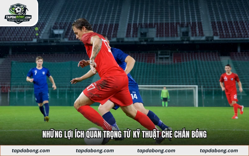 Những lợi ích quan trọng từ kỹ thuật che chắn bóng