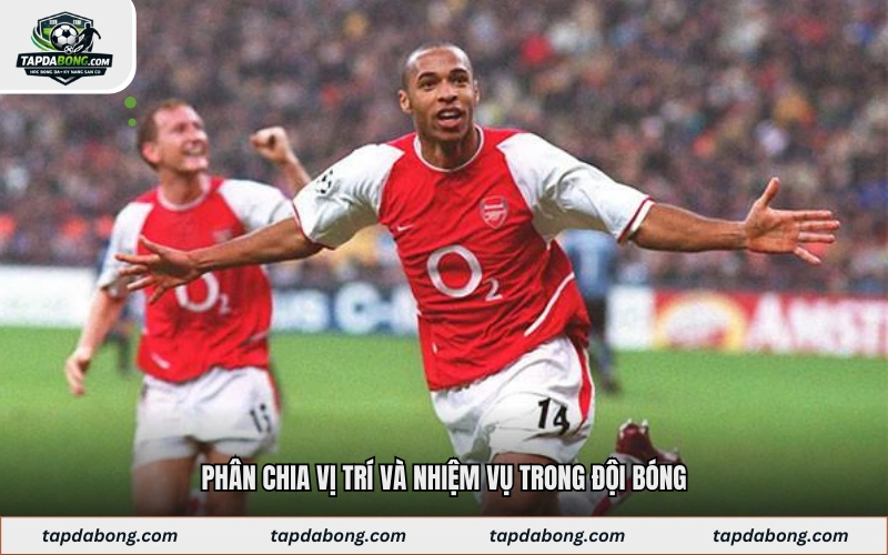 Phân chia vị trí và nhiệm vụ trong đội bóng