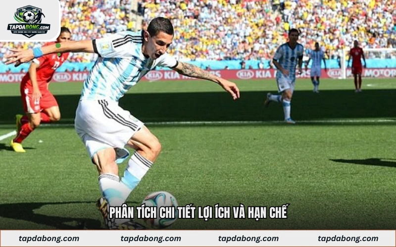 Phân tích chi tiết lợi ích và hạn chế
