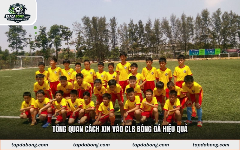 Tổng quan cách xin vào CLB bóng đá hiệu quả