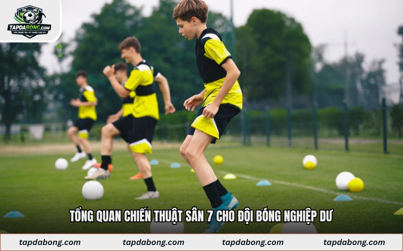 Tổng quan chiến thuật sân 7 cho đội bóng nghiệp dư