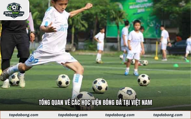 Tổng Quan Về Các Học Viện Bóng Đá Tại Việt Nam