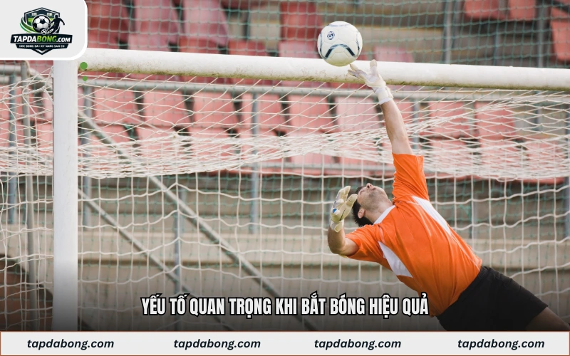 Yếu tố quan trọng khi bắt bóng hiệu quả